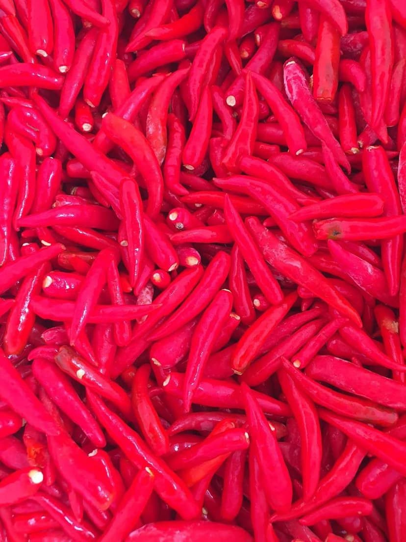 Dried frozen chili from Vietnam