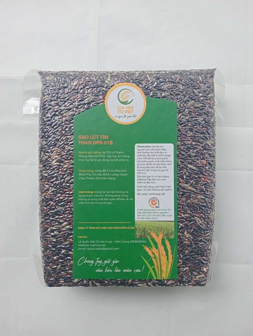 DPR 01 deep purple rice from South Vietnam