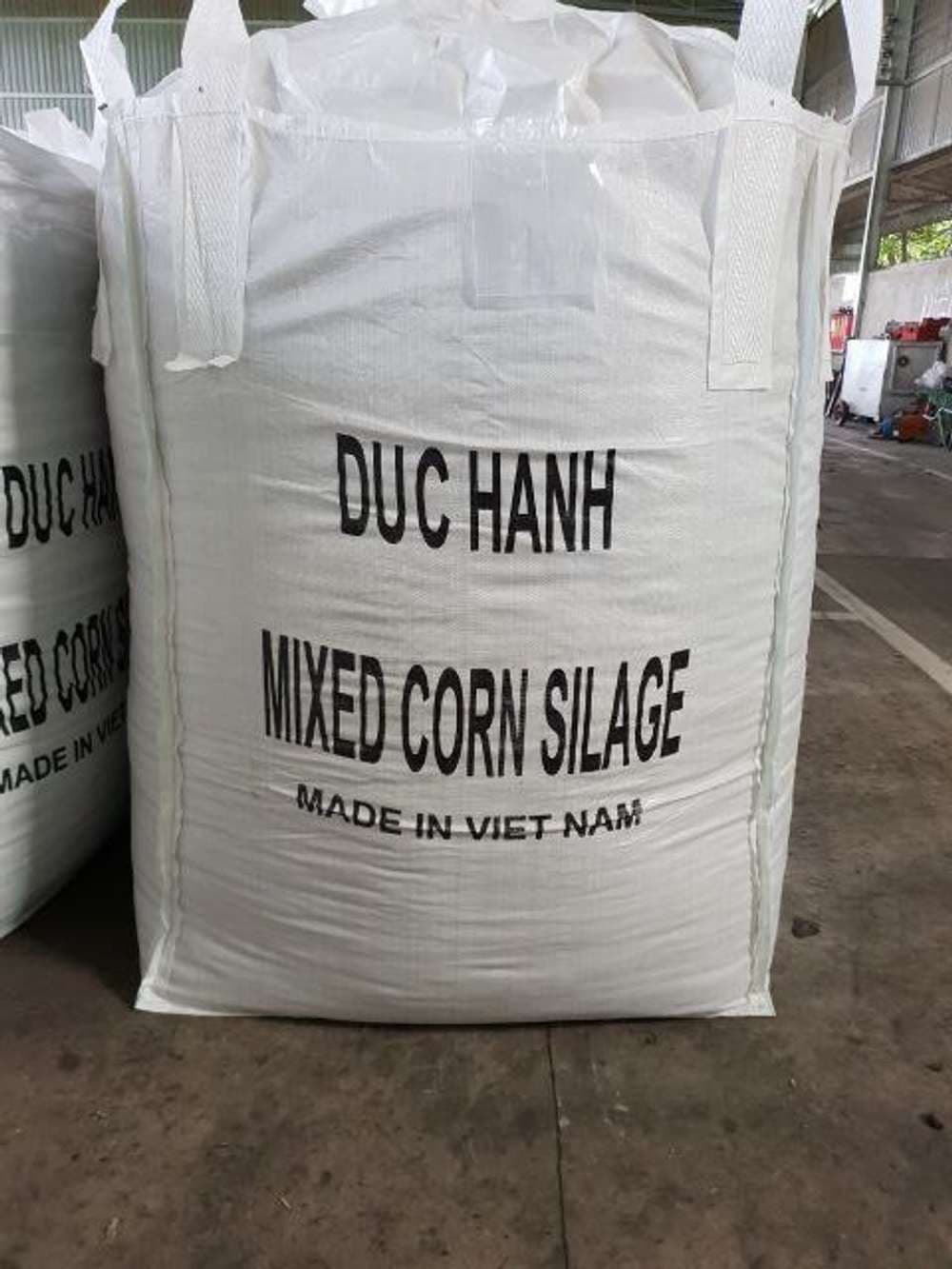 Cornsilge