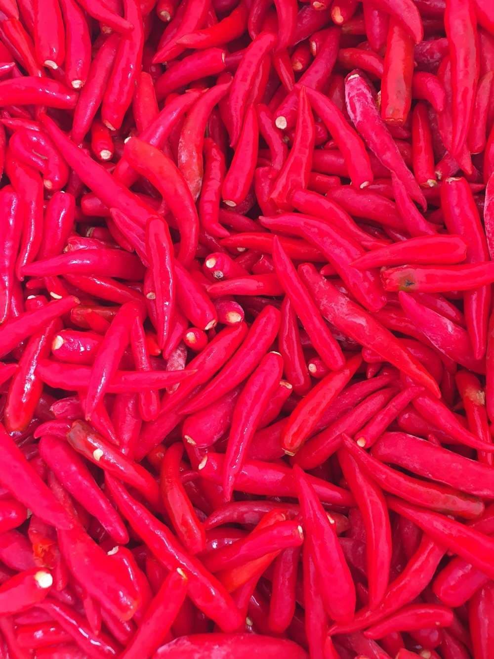 Dried frozen chili from Vietnam