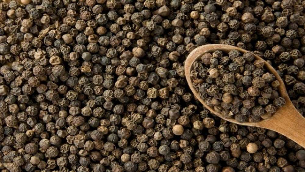 Black pepper 500g/550g, Gia Lai